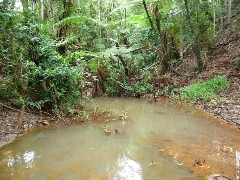 Lot 3 Lloyd Road, Yungaburra QLD 4884