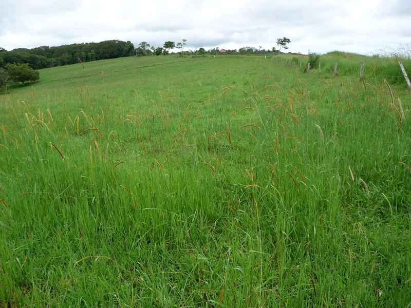 Lot 3 Lloyd Road, Yungaburra QLD 4884