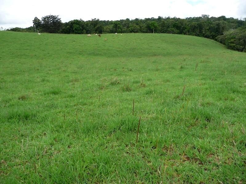Lot 3 Lloyd Road, Yungaburra QLD 4884