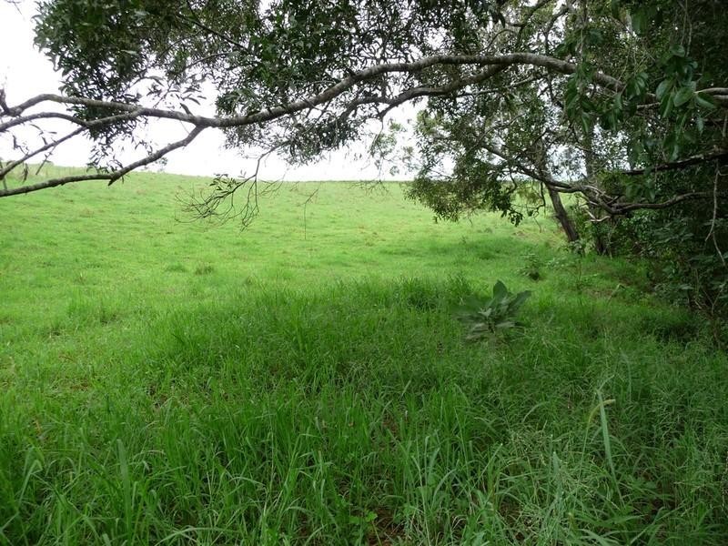 Lot 3 Lloyd Road, Yungaburra QLD 4884