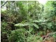 Lot 3 Lloyd Road, Yungaburra QLD 4884