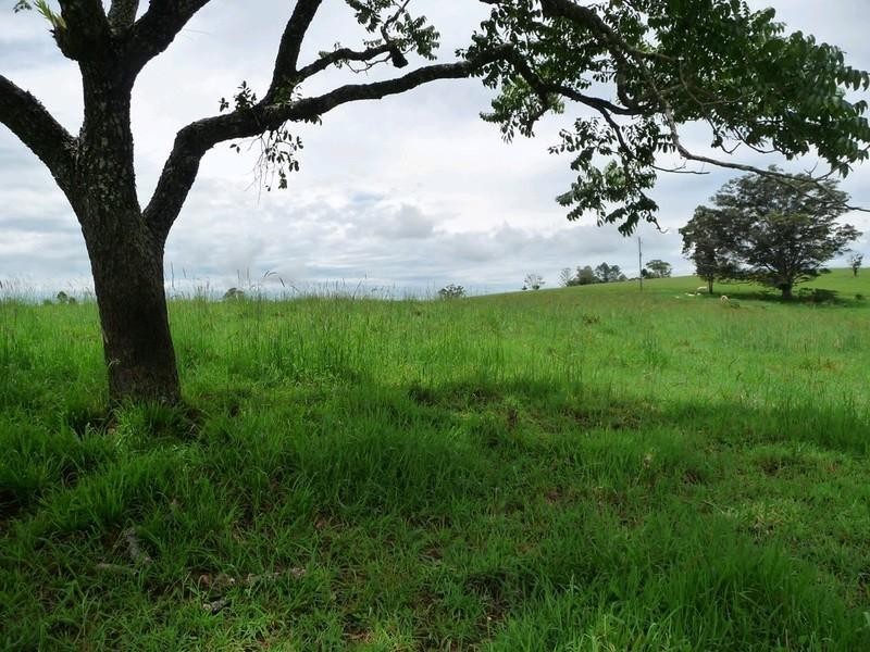 Lot 3 Lloyd Road, Yungaburra QLD 4884