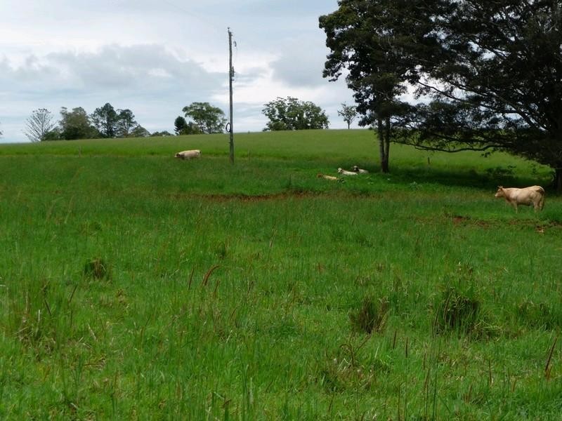 Lot 3 Lloyd Road, Yungaburra QLD 4884