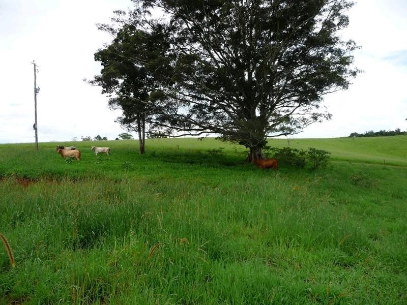 Lot 3 Lloyd Road, Yungaburra QLD 4884