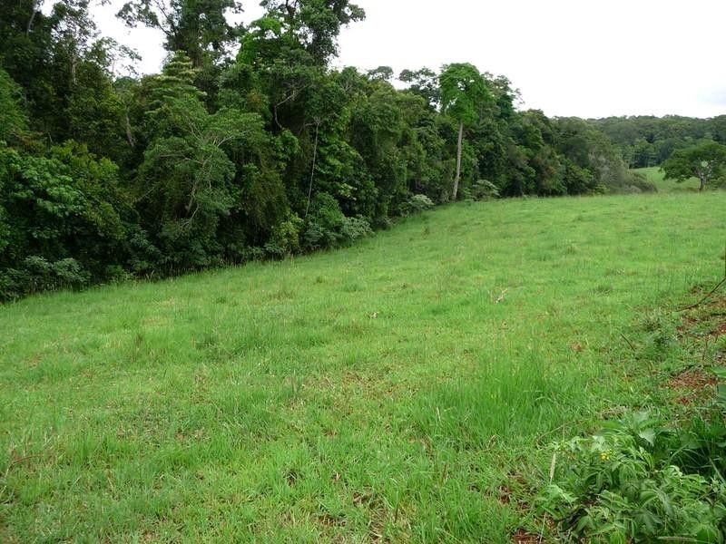 Lot 3 Lloyd Road, Yungaburra QLD 4884