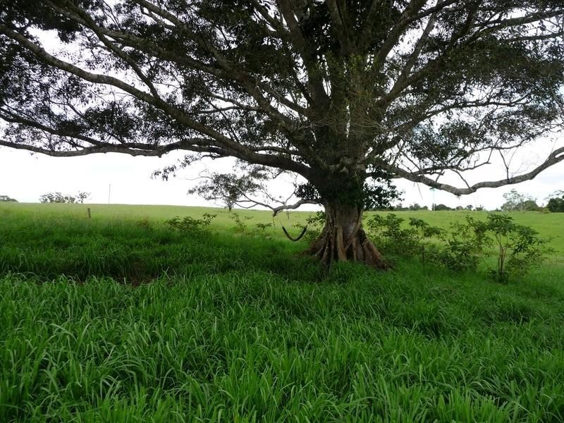 Lot 3 Lloyd Road, Yungaburra QLD 4884