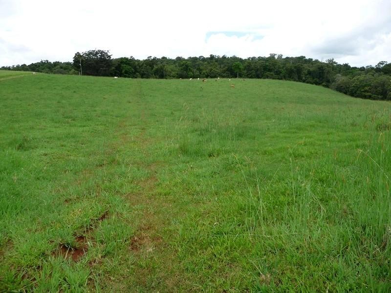 Lot 3 Lloyd Road, Yungaburra QLD 4884