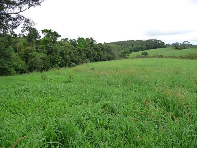 Lot 3 Lloyd Road, Yungaburra QLD 4884