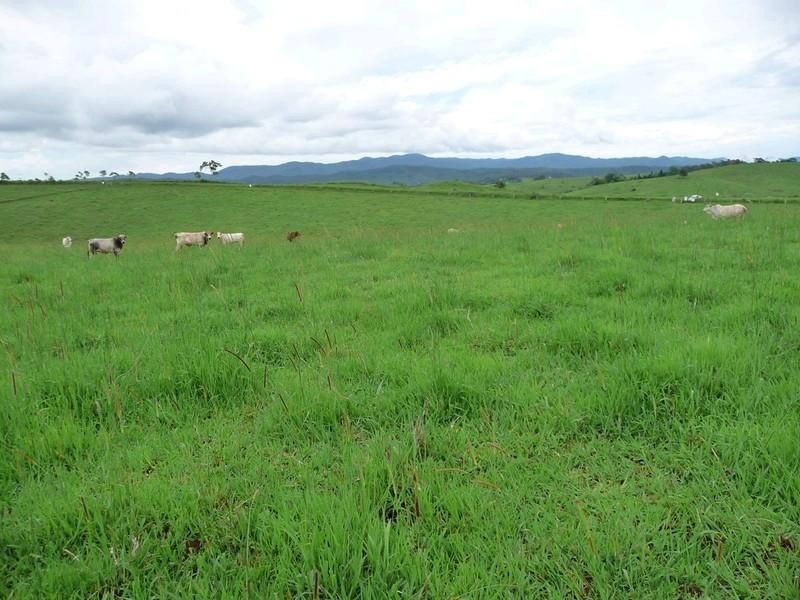 Lot 3 Lloyd Road, Yungaburra QLD 4884