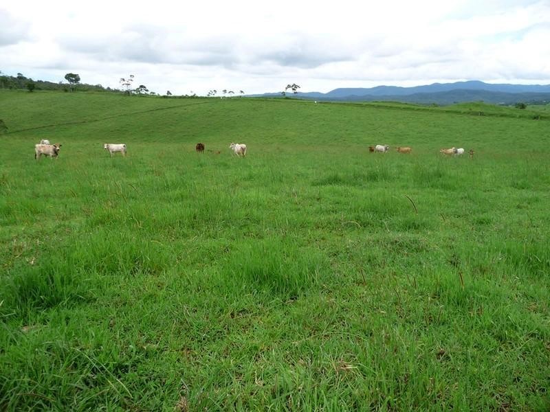 Lot 3 Lloyd Road, Yungaburra QLD 4884