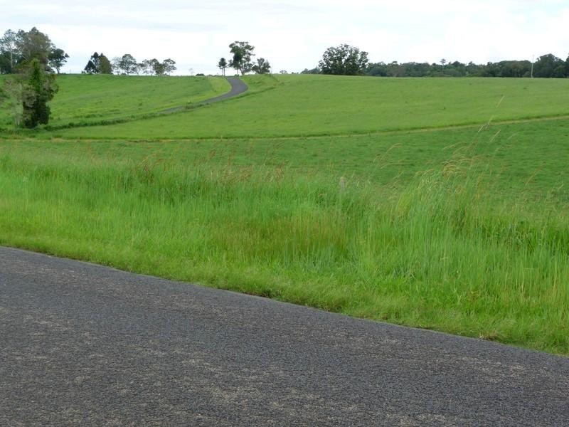 Lot 3 Lloyd Road, Yungaburra QLD 4884