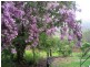 Herberton QLD 4887