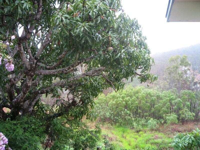 Herberton QLD 4887
