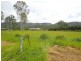 Tolga QLD 4882