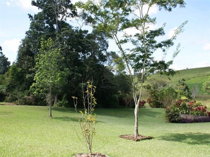 Malanda QLD 4885