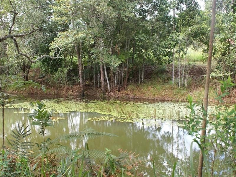 Lake Eacham QLD 4884