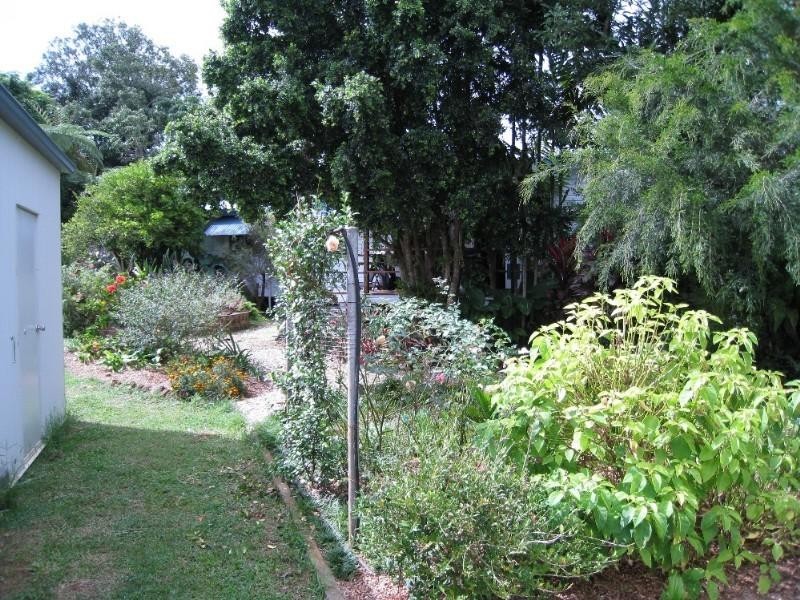 Yungaburra QLD 4884