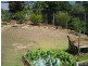 Herberton QLD 4887