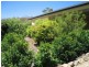 Herberton QLD 4887