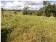 Topaz QLD 4885