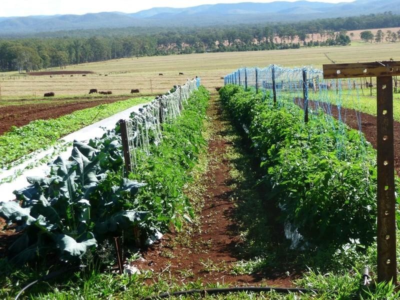 RN523 Longlands Gap Road, Wondecla QLD 4887