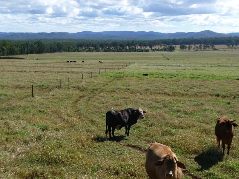 RN523 Longlands Gap Road, Wondecla QLD 4887