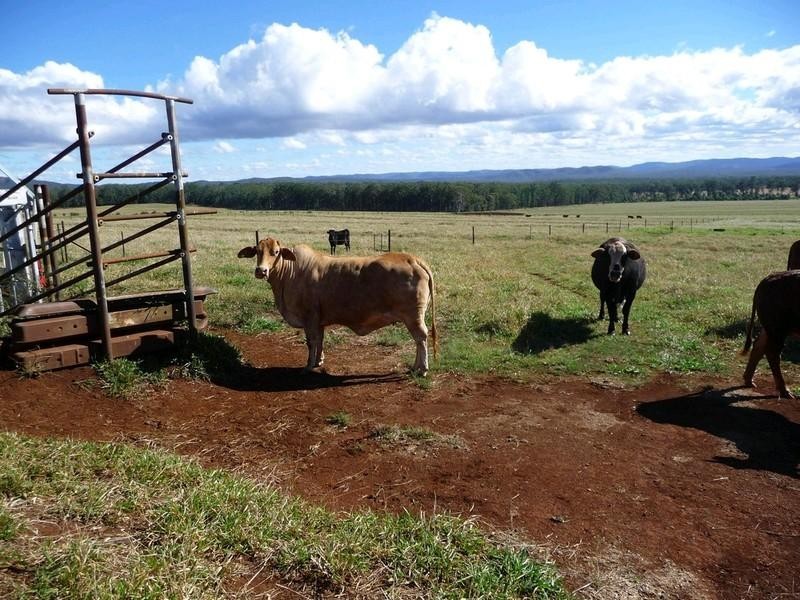 RN523 Longlands Gap Road, Wondecla QLD 4887