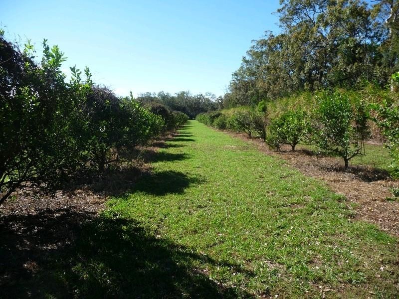 RN523 Longlands Gap Road, Wondecla QLD 4887