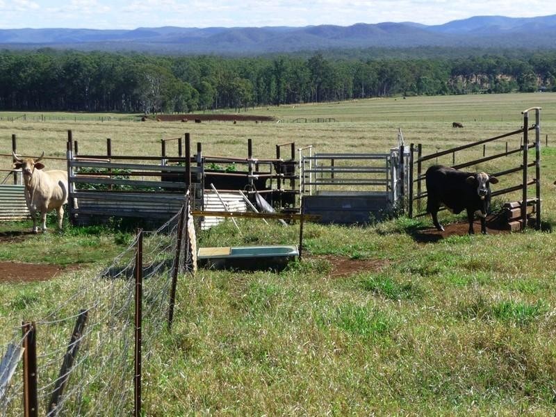 RN523 Longlands Gap Road, Wondecla QLD 4887