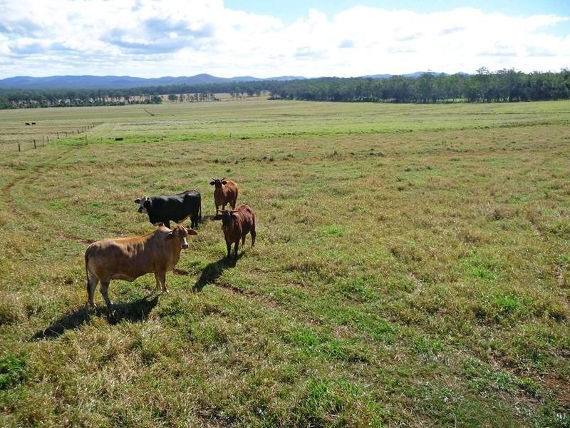 RN523 Longlands Gap Road, Wondecla QLD 4887