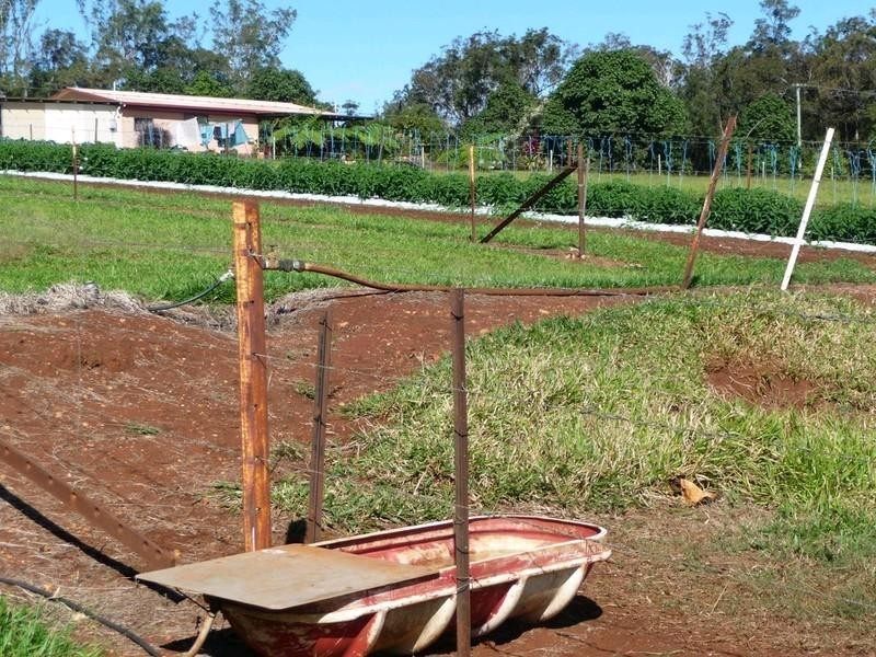 RN523 Longlands Gap Road, Wondecla QLD 4887