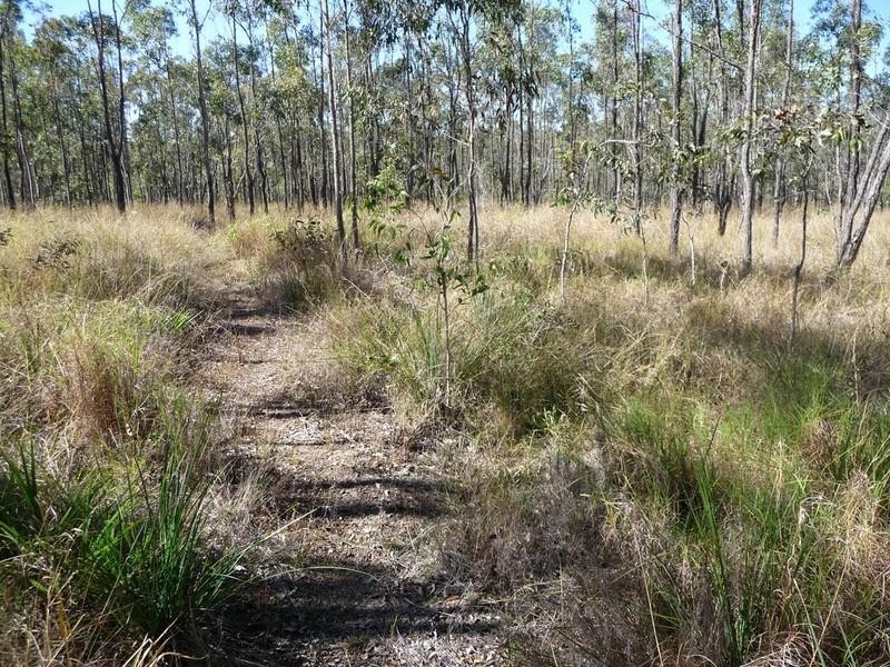851 Wooroora Road, Ravenshoe QLD 4888