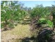 851 Wooroora Road, Ravenshoe QLD 4888