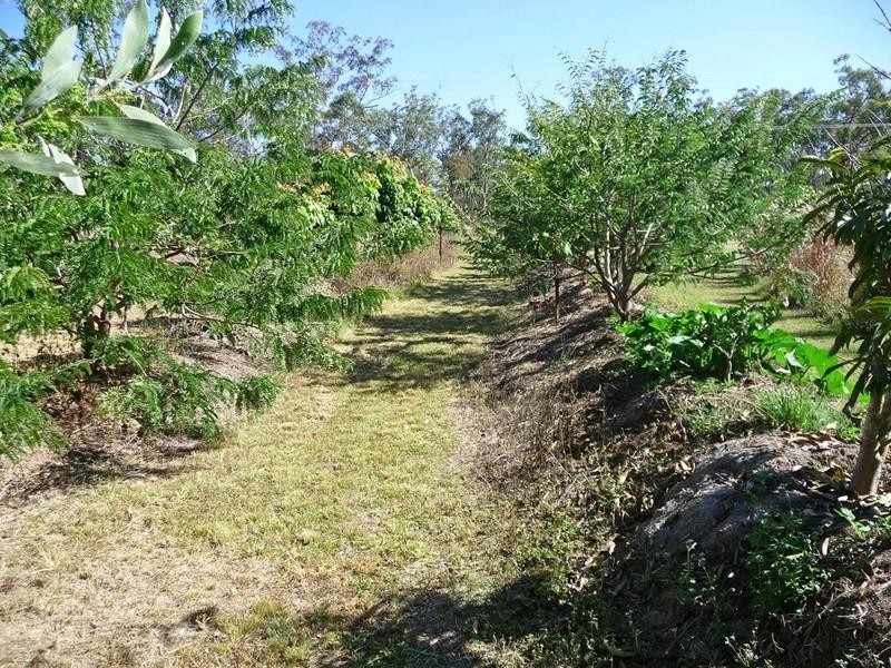 851 Wooroora Road, Ravenshoe QLD 4888