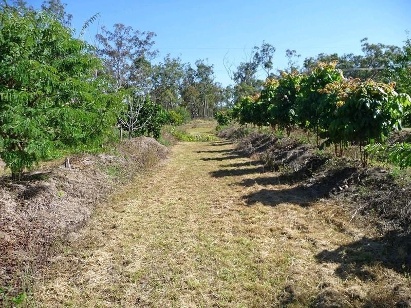851 Wooroora Road, Ravenshoe QLD 4888