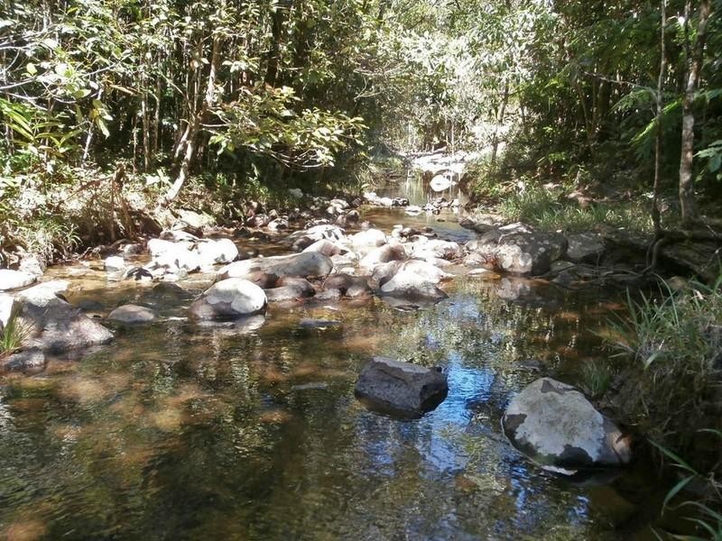 2147 Topaz Road, Topaz QLD 4885