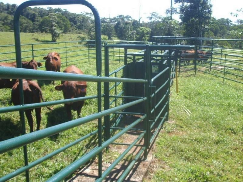 2147 Topaz Road, Topaz QLD 4885