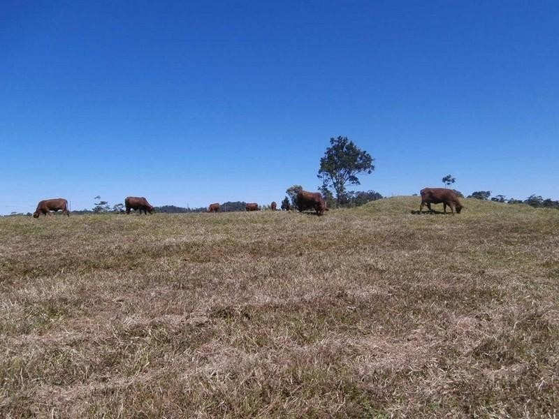 2147 Topaz Road, Topaz QLD 4885