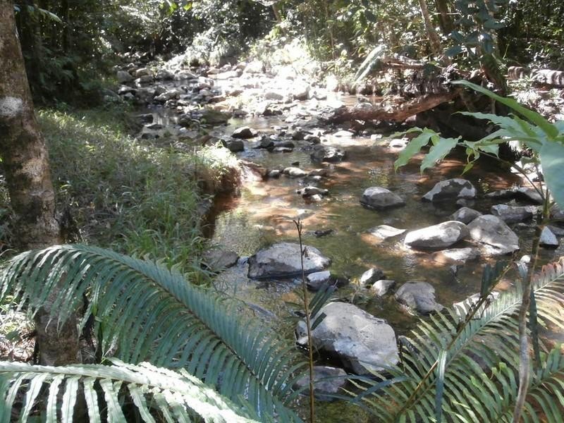 2147 Topaz Road, Topaz QLD 4885