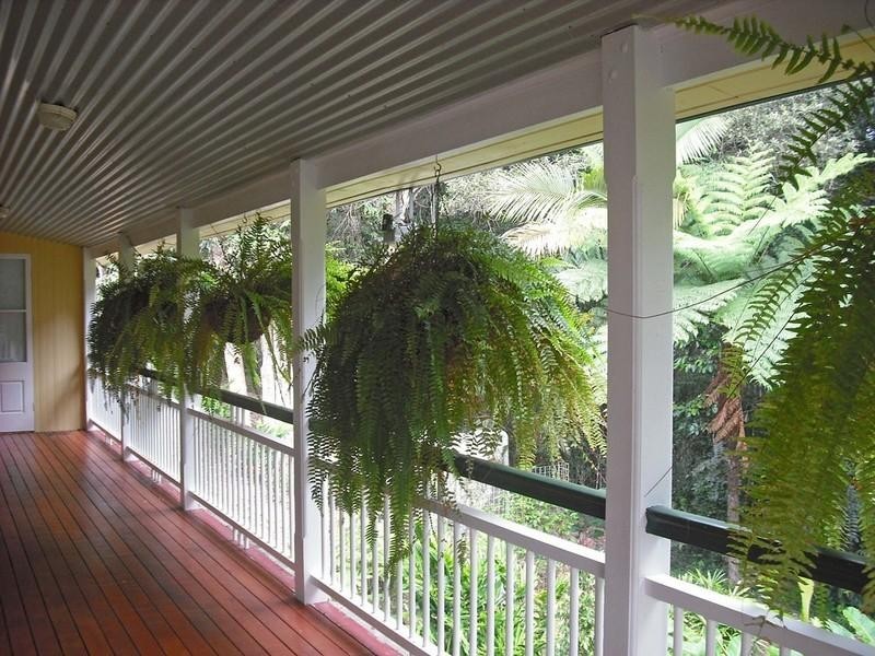 Lake Eacham QLD 4884