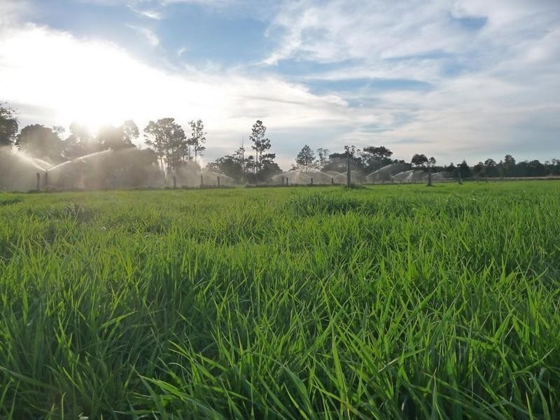 0 Atherton- Malanda Road, Malanda QLD 4885