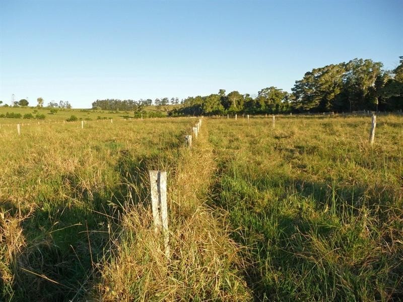 0 Atherton- Malanda Road, Malanda QLD 4885