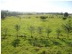 0 Atherton- Malanda Road, Malanda QLD 4885