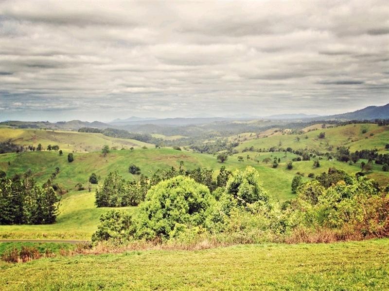 Millaa Millaa QLD 4886