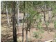 Wondecla QLD 4887