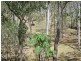 Wondecla QLD 4887