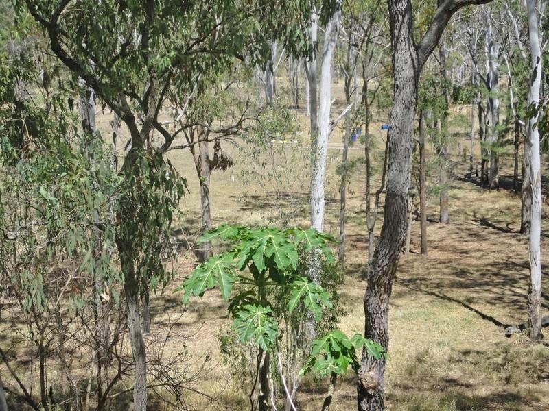Wondecla QLD 4887