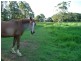Malanda QLD 4885