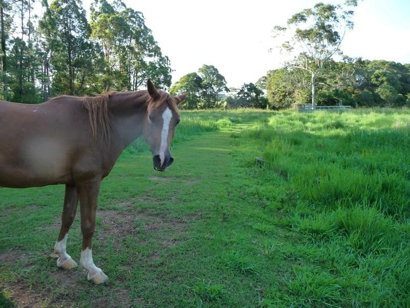 Malanda QLD 4885