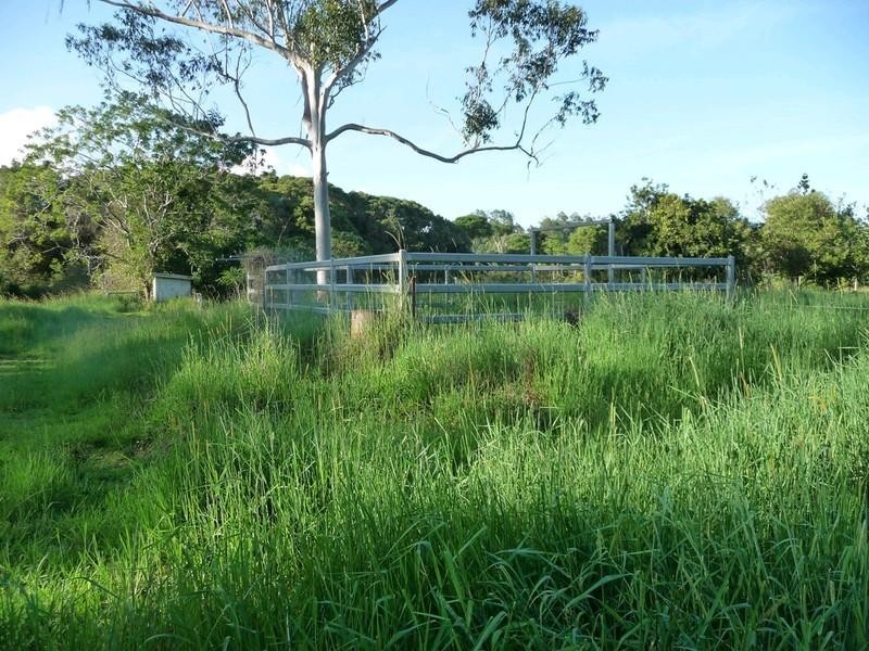 Malanda QLD 4885